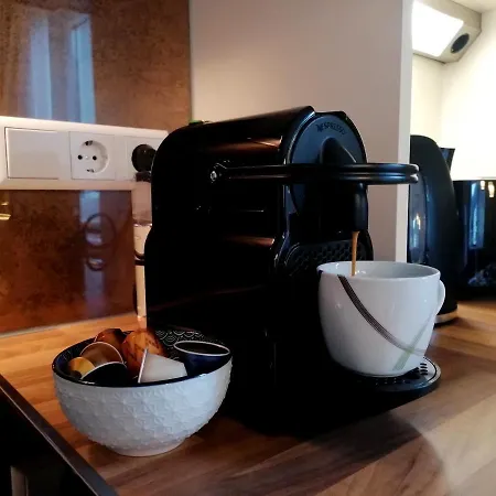 Schladmingerin Schladming