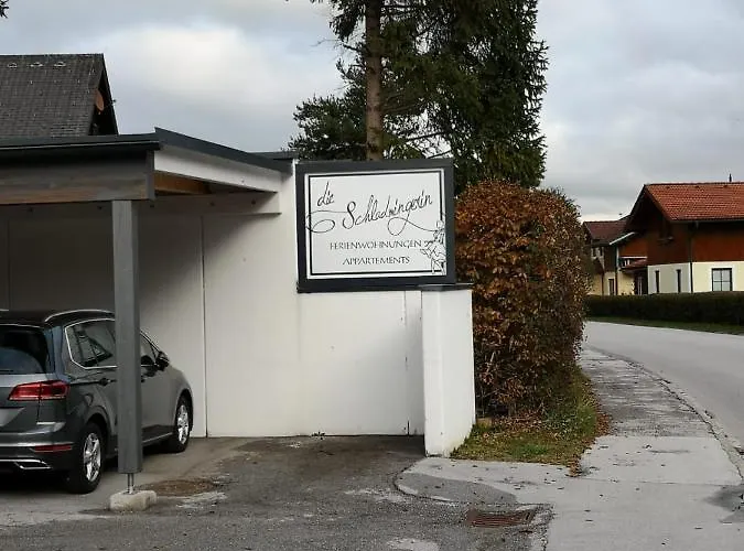 Апартаменты Schladmingerin